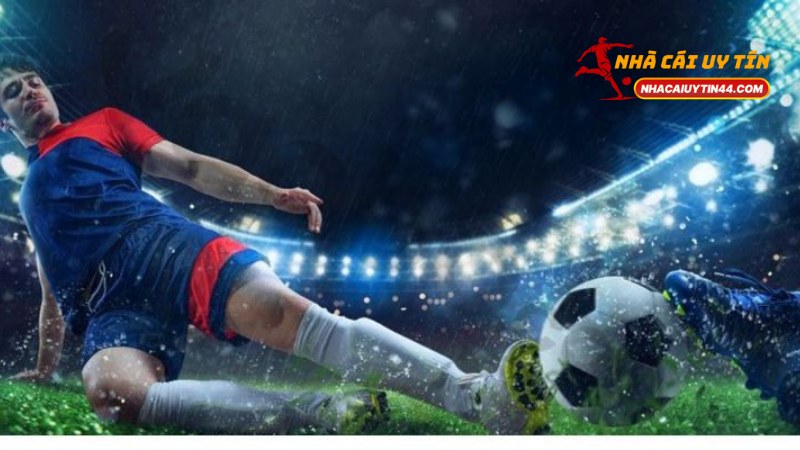 Cược Đơn - Hướng Dẫn Toàn Diện Kinh Nghiệm Đặt Cược 1 Cược Đơn